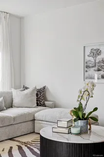 a living room with furniture flowerpot and a potted plant