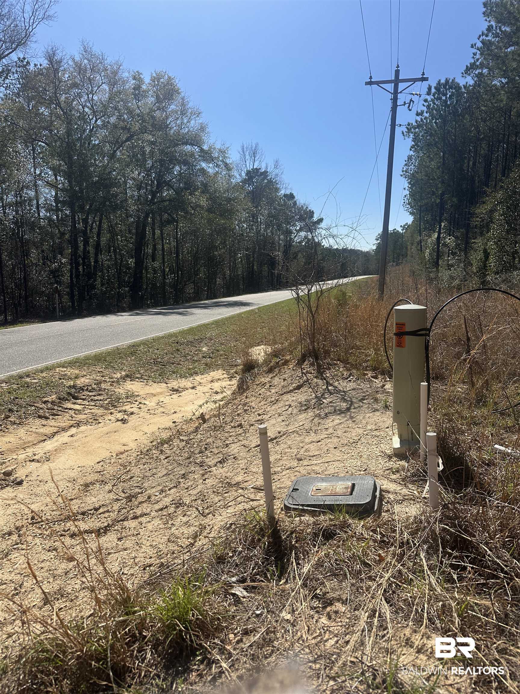 8557 County Road 34 Millry, AL 36558 - Photo 15 of 36 View of road with a forest view
