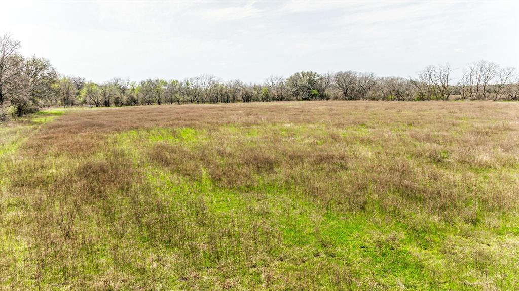 Lot 8 Ranches At Comanche Point Carlton, TX 76436 - Photo 4 of 11 a view of a field with trees in the background