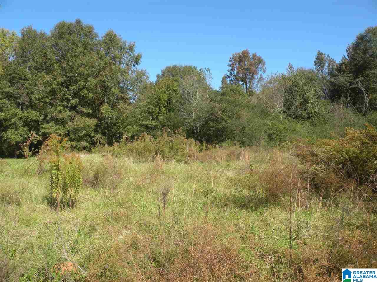 163 Thurman Road Talladega, AL 35160 - Photo 18 of 22