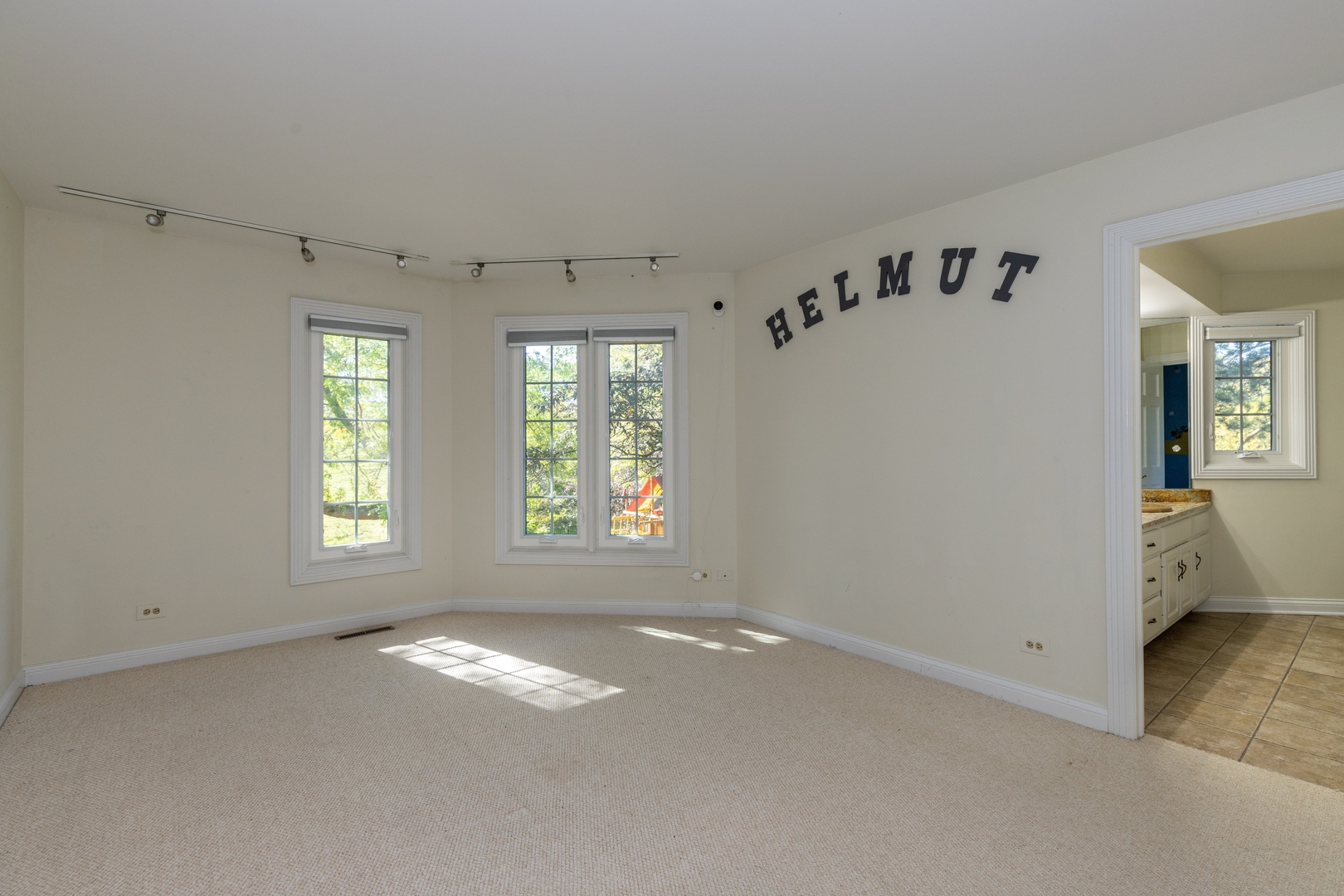311 South Basswood Road Lake Forest, IL 60045 - Photo 14 of 21