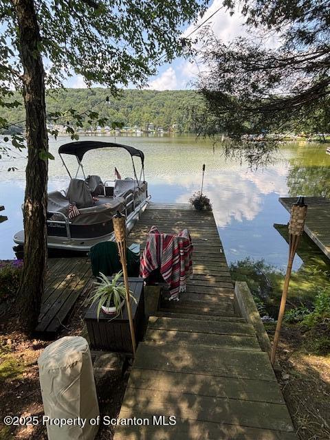 Lewis Nicholson, PA 18446 - Photo 1 of 8 a view of a lake with outside space