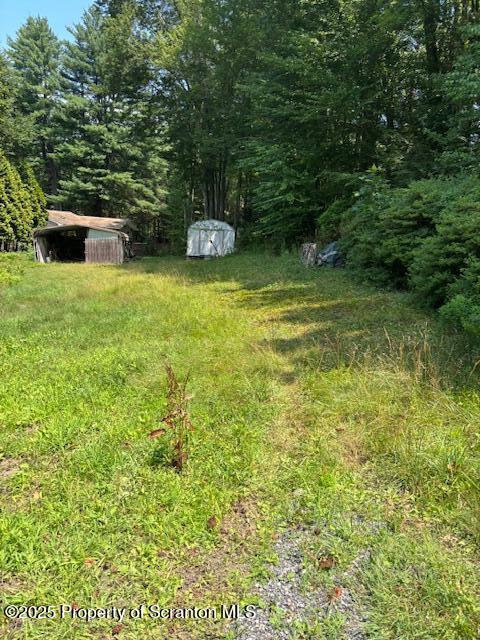 Lewis Nicholson, PA 18446 - Photo 2 of 8 a view of a garden with a bench