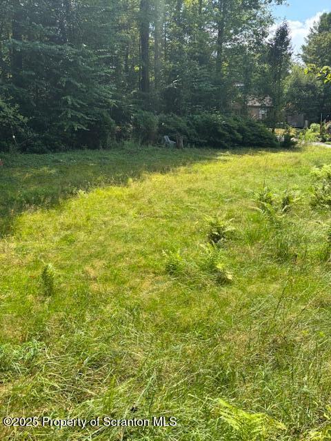 Lewis Nicholson, PA 18446 - Photo 5 of 8 a view of a yard