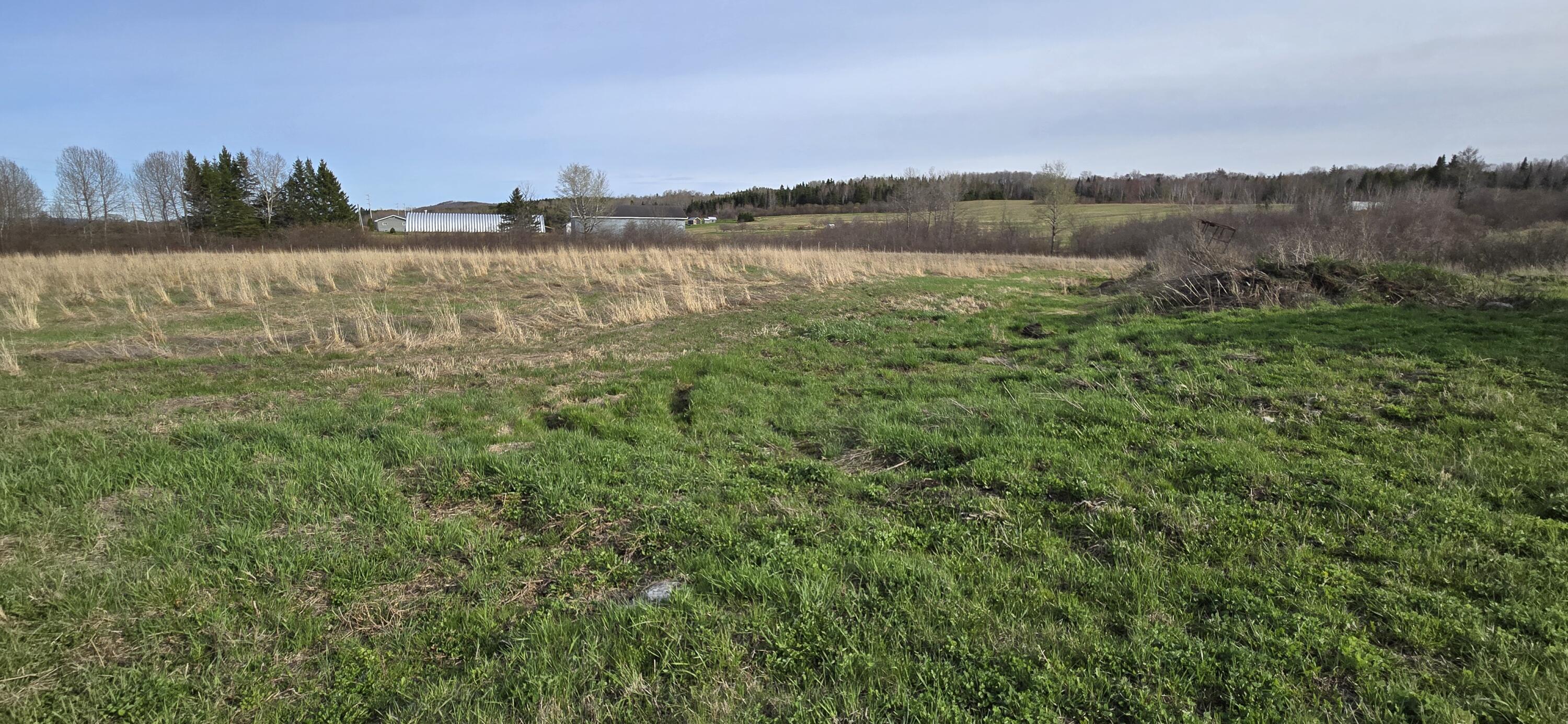 Map41 Map41 Lot8 Grand Isle Grand Isle, ME 04746 - Photo 5 of 7 20260513_171919