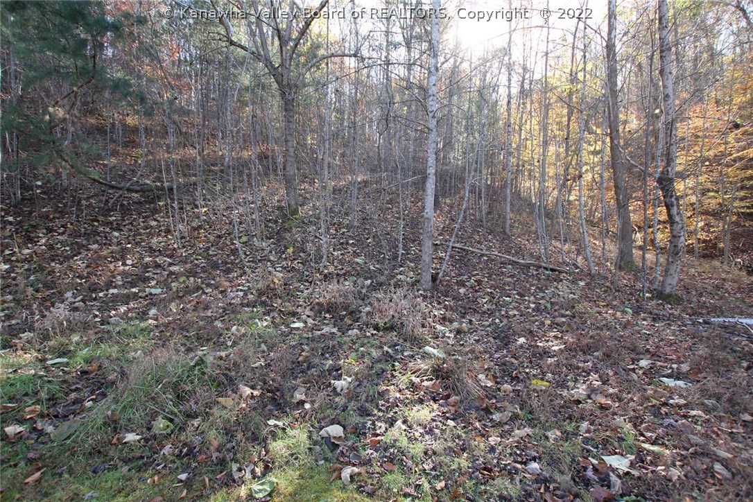 20 Upper Rambling Hills Road Elkview, WV 25071 - Photo 8 of 12 Gallery Image 8
