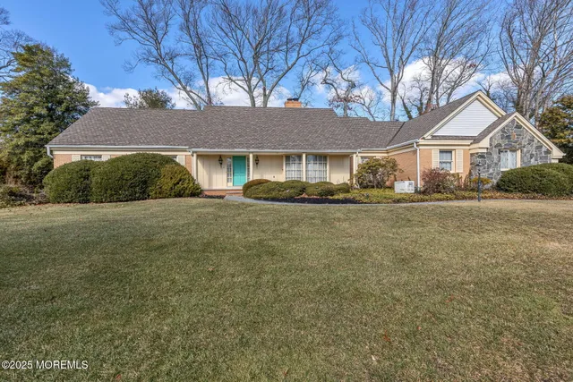 a view of a yard with plants and trees