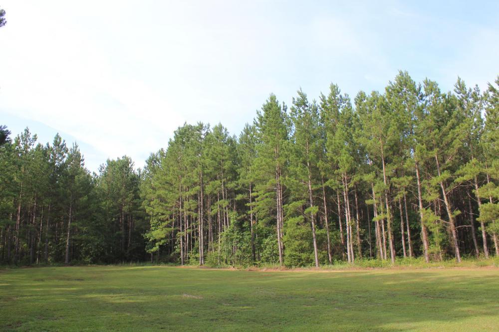 0 Wee Tee Road Andrews, SC 29510 - Photo 26 of 37 25