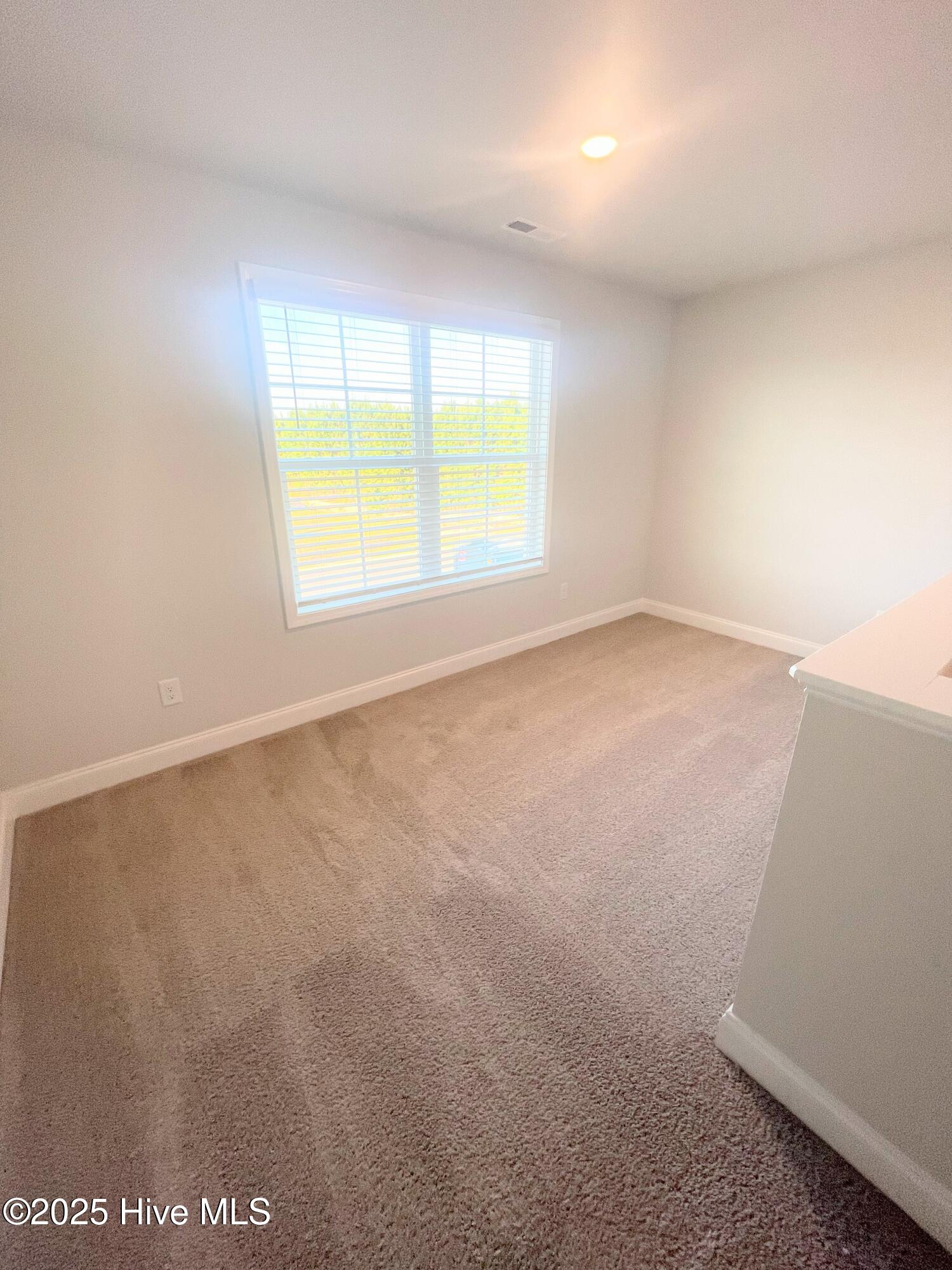 1000 Midnight Bourbon Manor New Bern, NC 28562 - Photo 14 of 44 IMG_0378