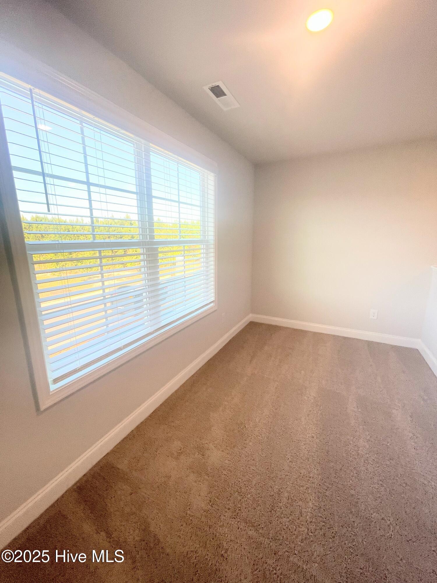 1000 Midnight Bourbon Manor New Bern, NC 28562 - Photo 15 of 44 IMG_0379