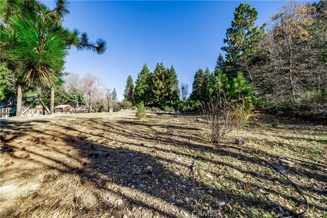 $545,000 | 6031 Tripp Lane, Angelus Oaks, CA 92305