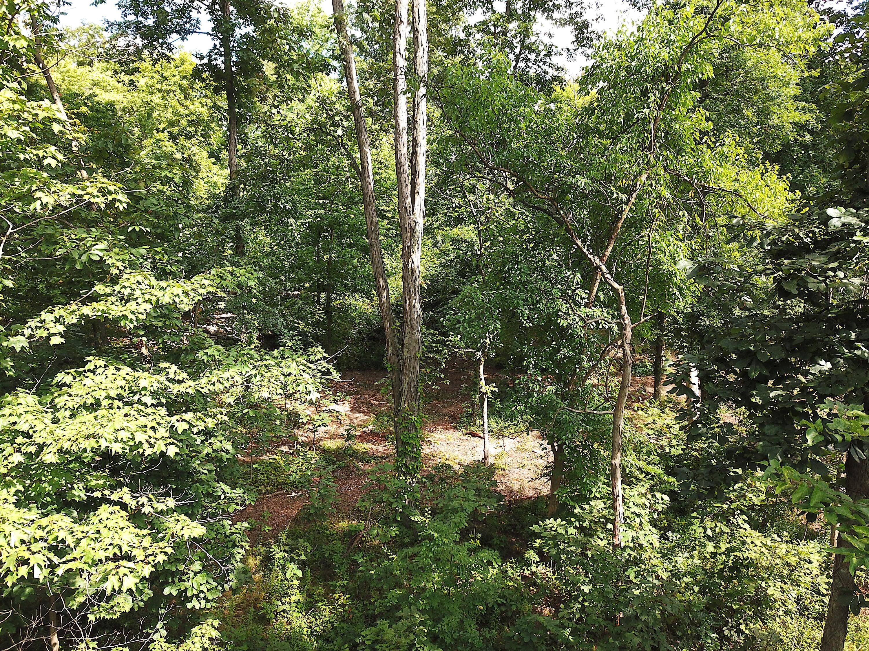 0 North Dean Road Ostrander, OH 43061 - Photo 8 of 38 DJI_0006