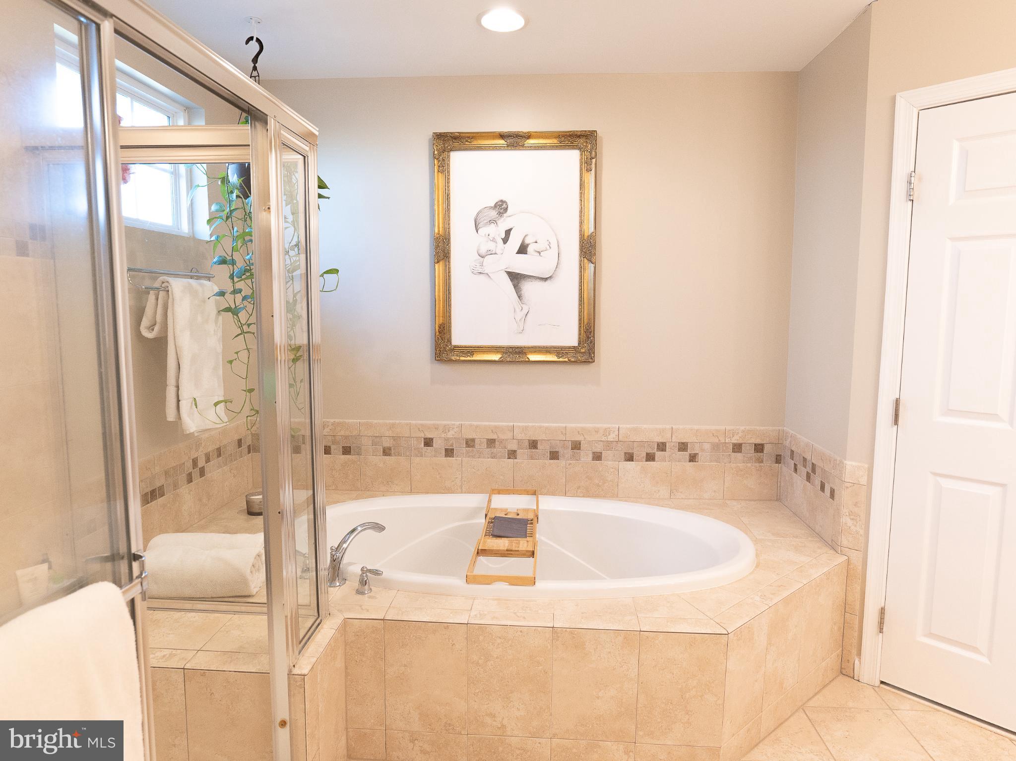 4494 Corral Road Warrenton, VA 20187 - Photo 24 of 42 Master Bathroom