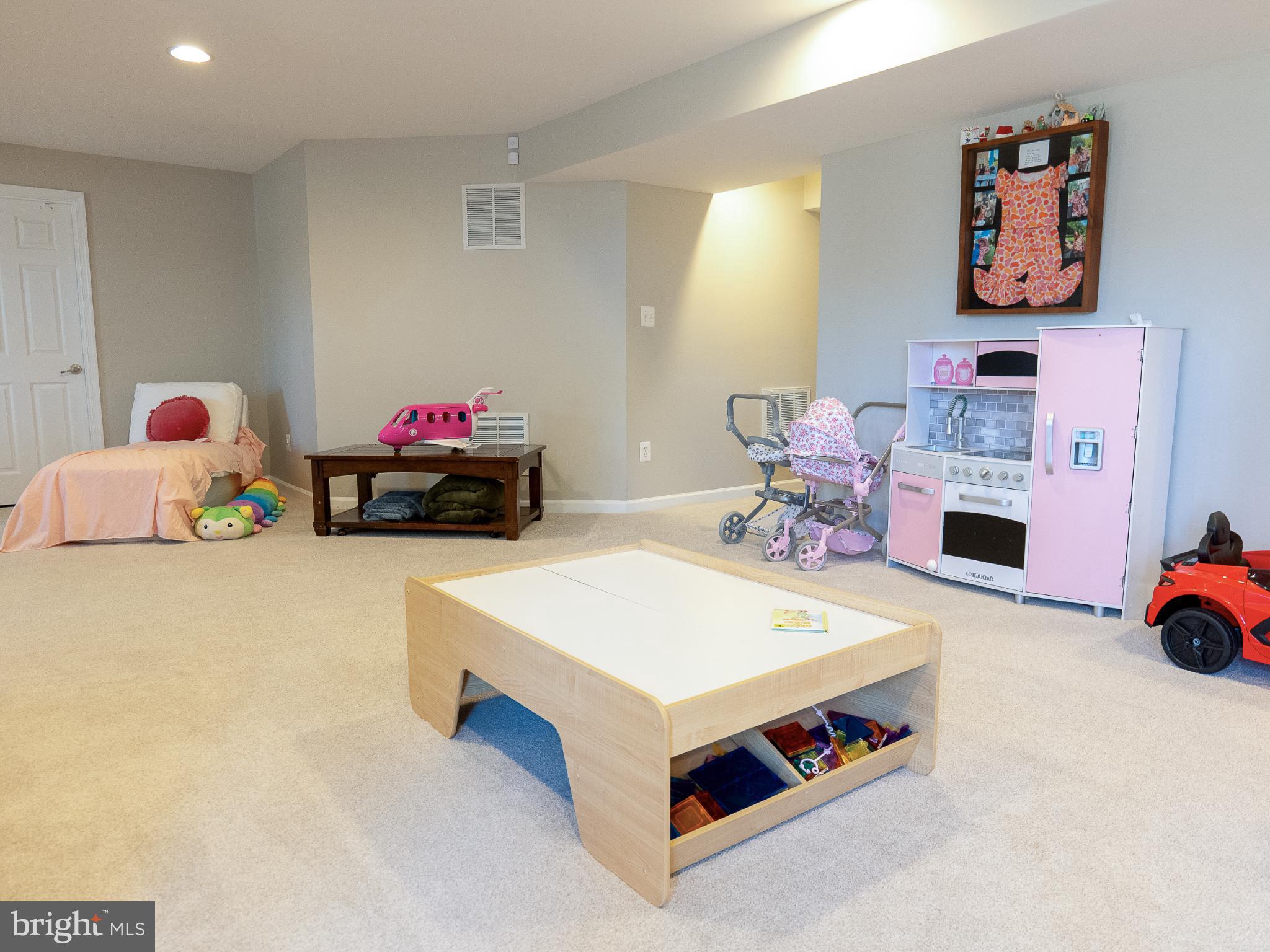 4494 Corral Road Warrenton, VA 20187 - Photo 36 of 42 Fully-Finished Basement