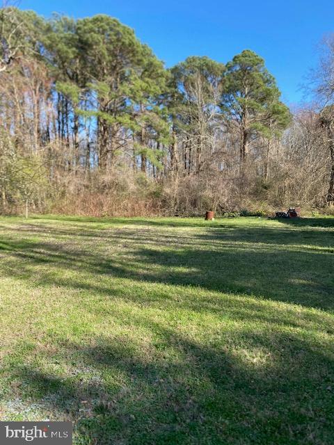 10869 Roland Parks Road Deal Island, MD 21821 - Photo 15 of 16