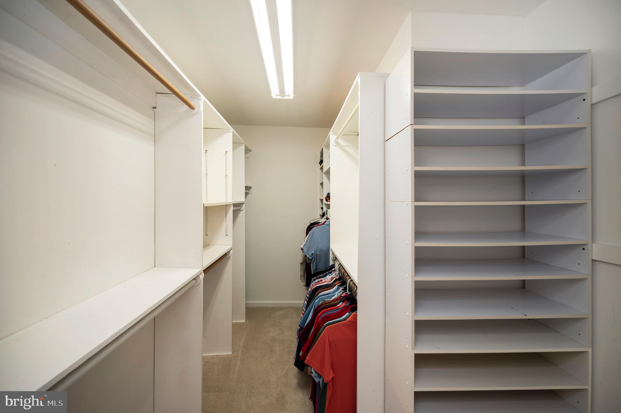 302 Gold Valley Road Locust Grove, VA 22508 - Photo 20 of 48 Expansive walk in closet