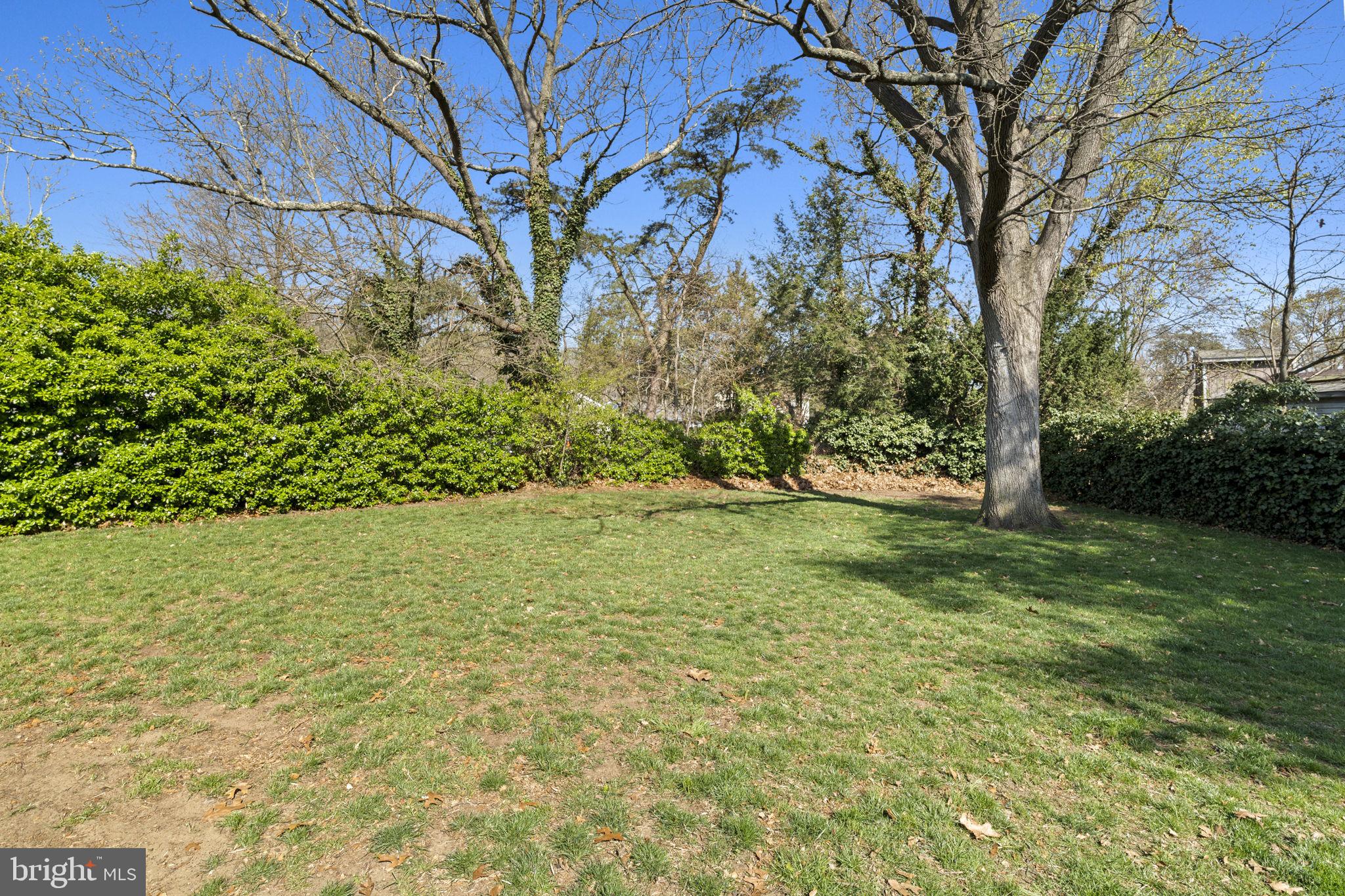 329 Maple Road Mount Laurel, NJ 08054 - Photo 25 of 38