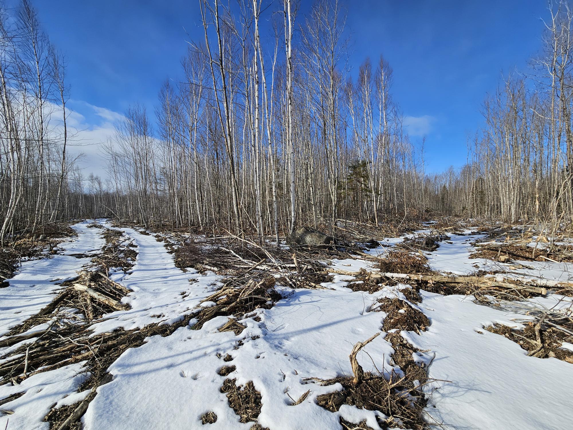 Lot7 Point Road Ellsworth, ME 04605 - Photo 11 of 29 20240214_135759
