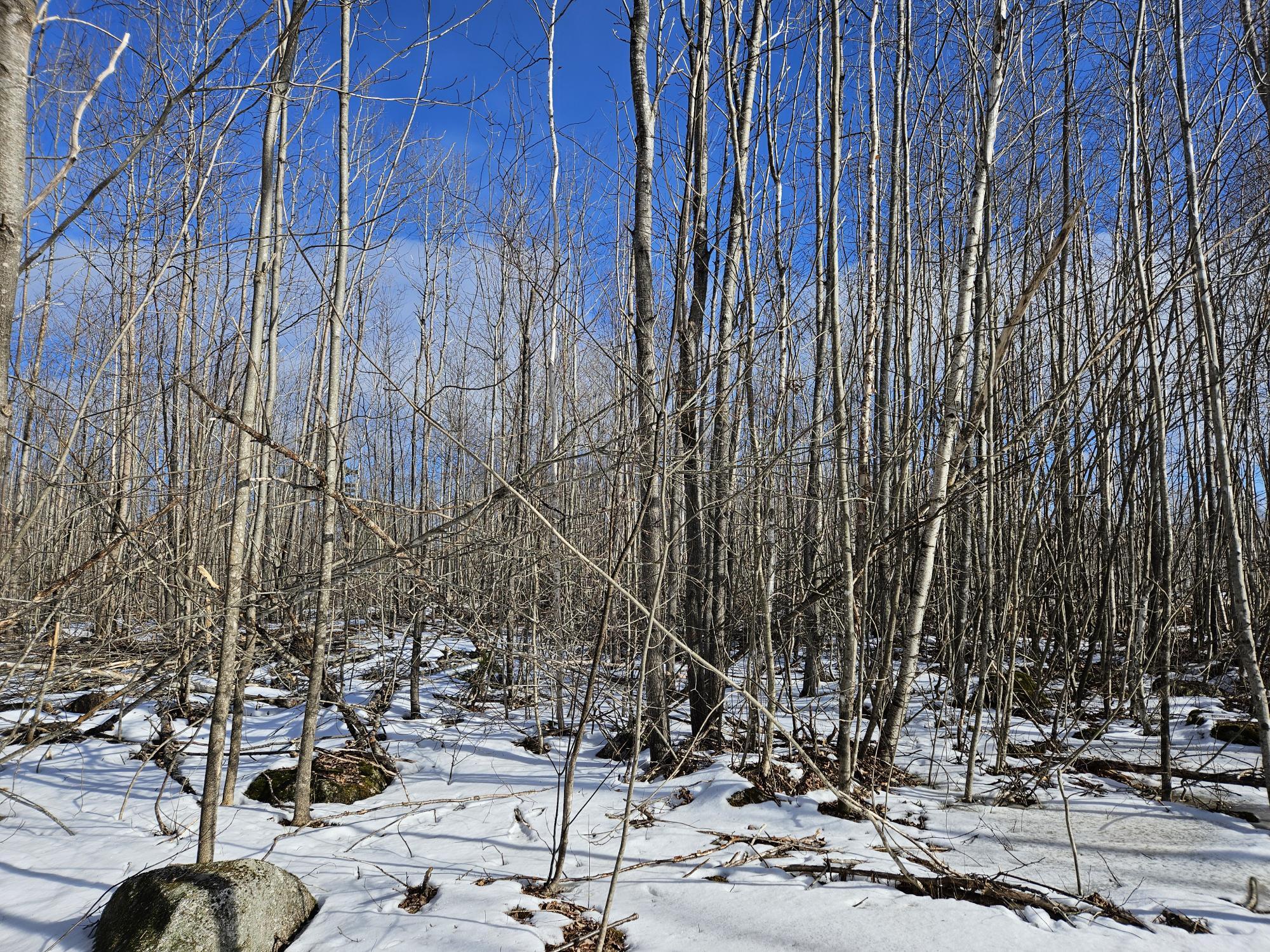 Lot7 Point Road Ellsworth, ME 04605 - Photo 12 of 29 20240214_135831