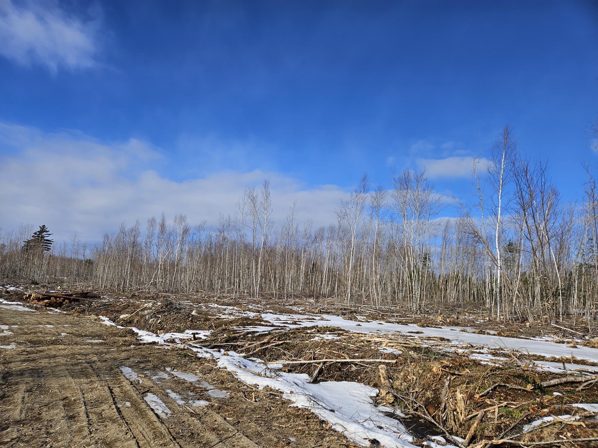 Lot7 Point Road Ellsworth, ME 04605 - Photo 16 of 29 20240214_134518