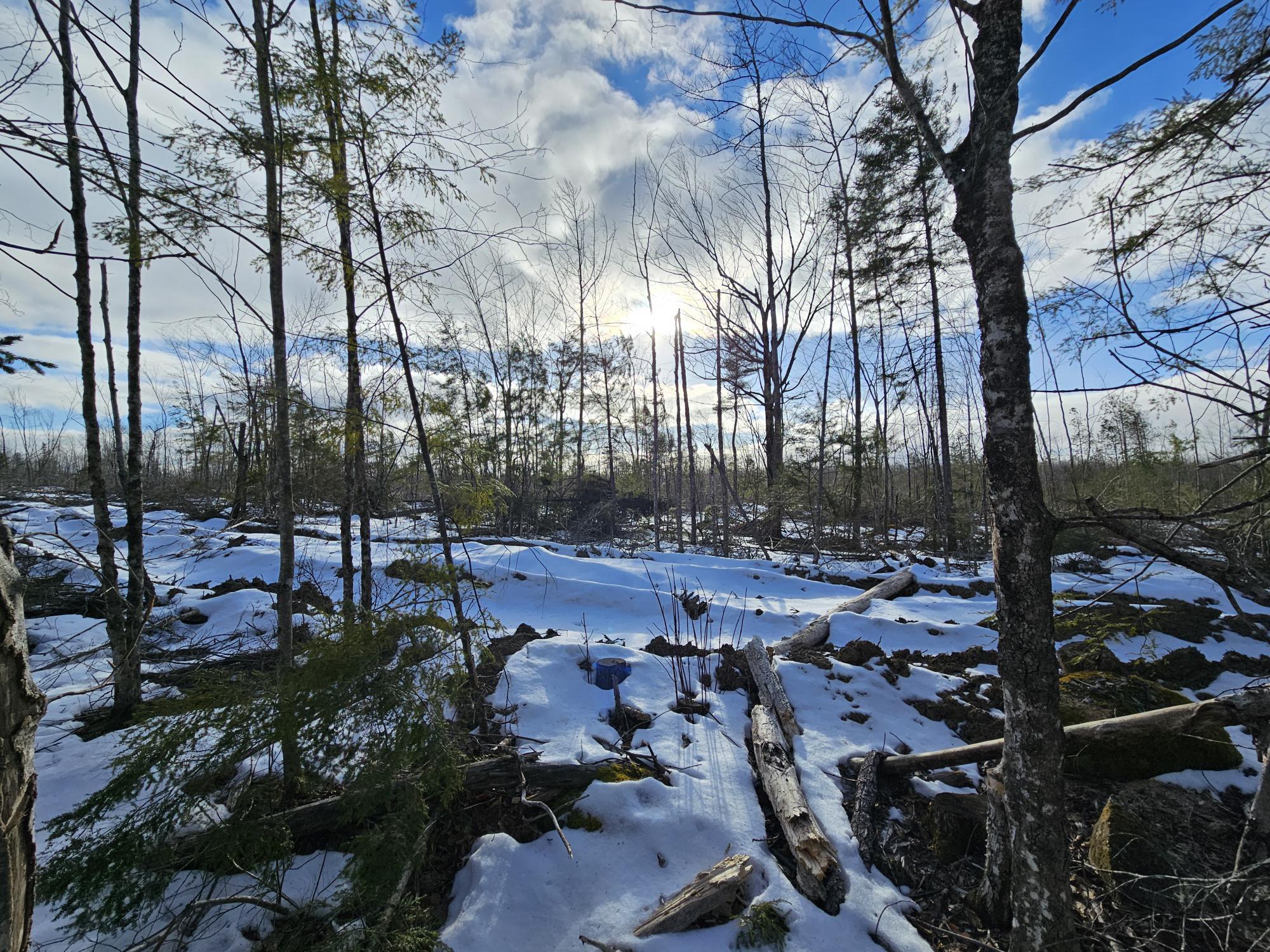 Lot7 Point Road Ellsworth, ME 04605 - Photo 17 of 29 20240214_143921