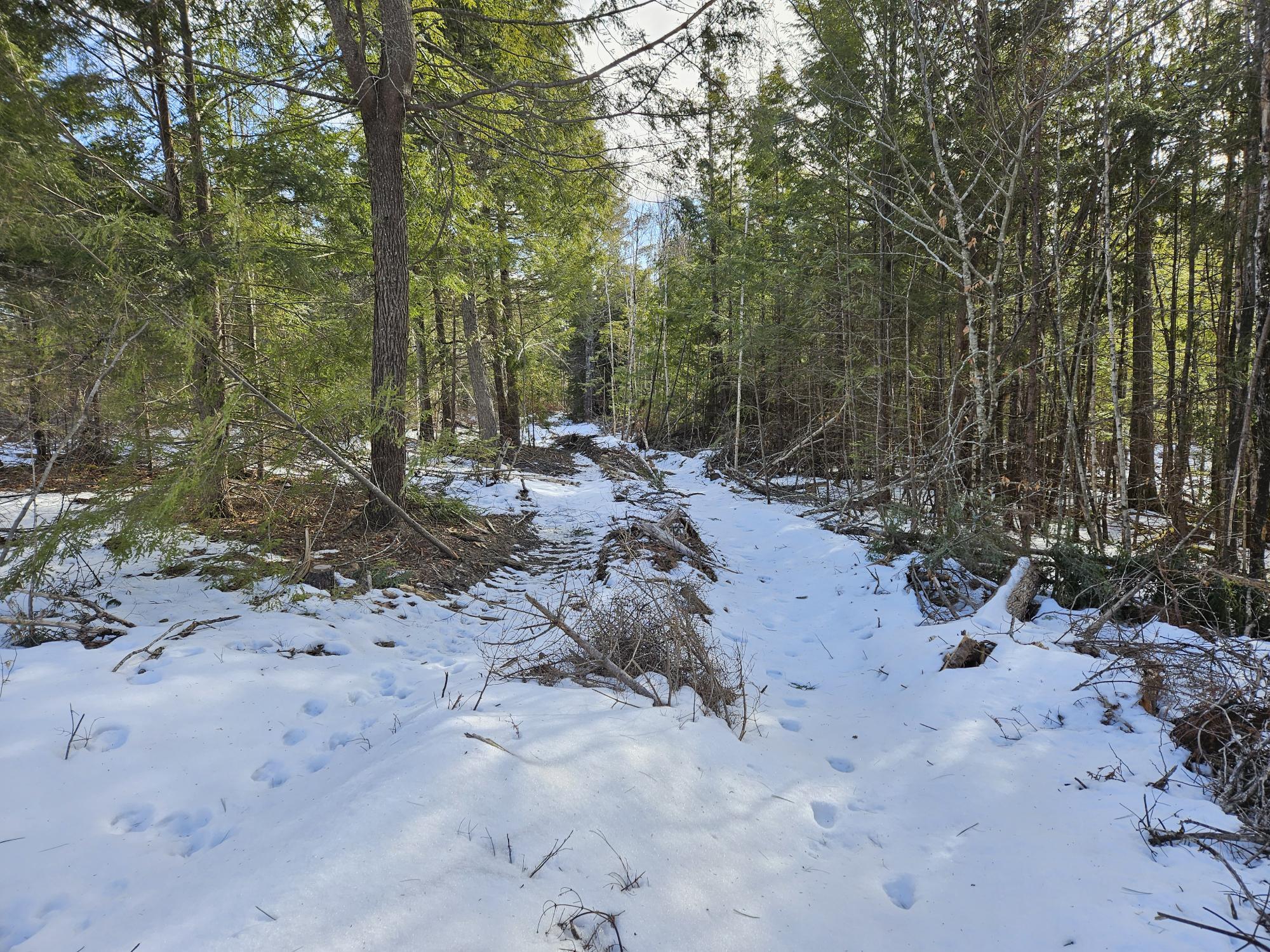Lot7 Point Road Ellsworth, ME 04605 - Photo 18 of 29 20240214_131137