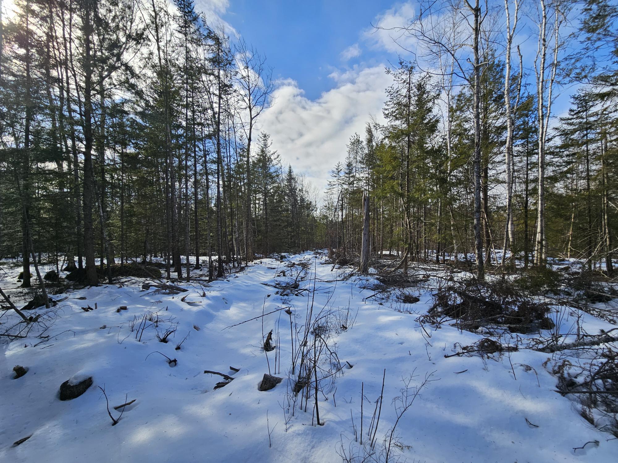 Lot7 Point Road Ellsworth, ME 04605 - Photo 20 of 29 20240214_130704