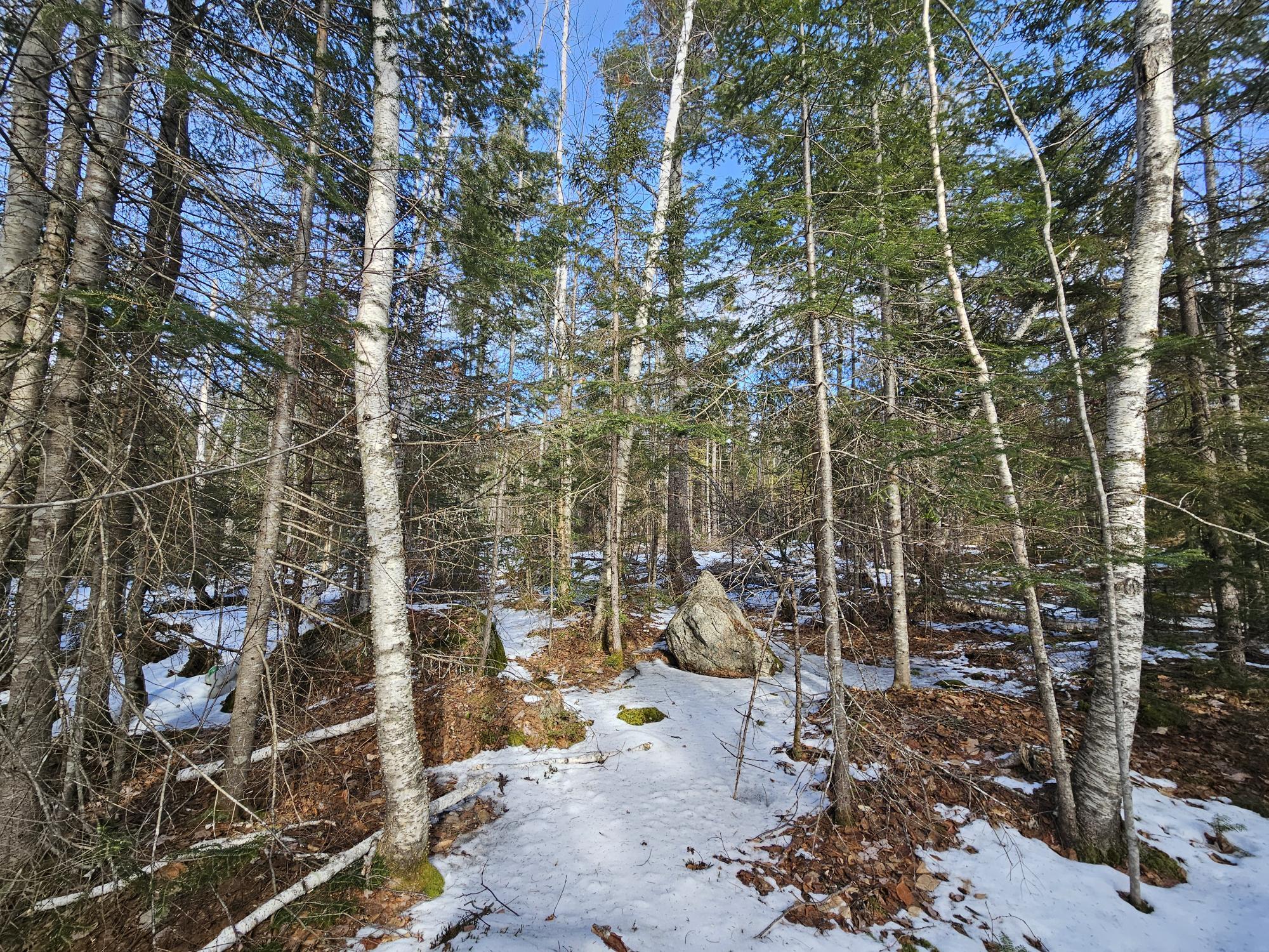 Lot7 Point Road Ellsworth, ME 04605 - Photo 2 of 29 20240214_130507