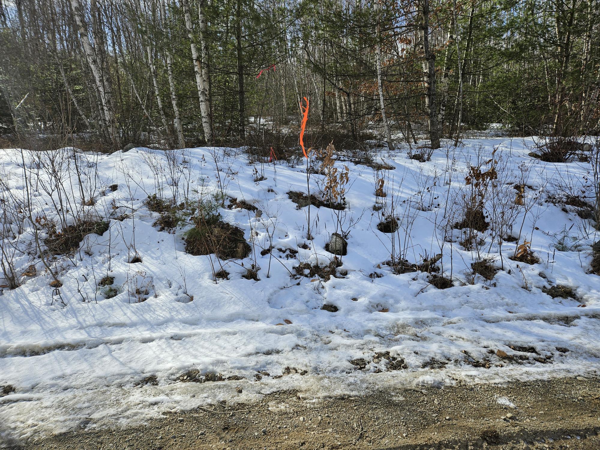 Lot7 Point Road Ellsworth, ME 04605 - Photo 25 of 29 20240214_132919