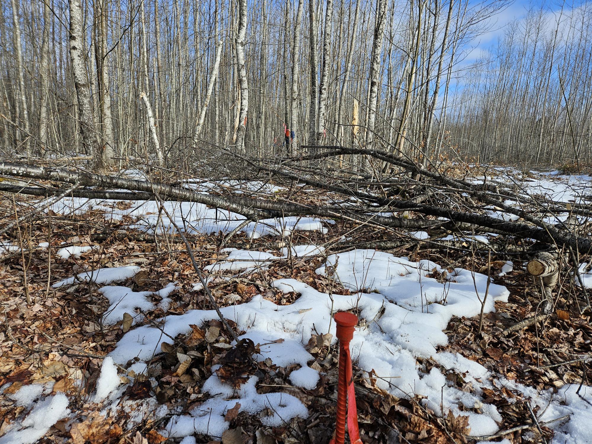 Lot7 Point Road Ellsworth, ME 04605 - Photo 26 of 29 20240214_140817