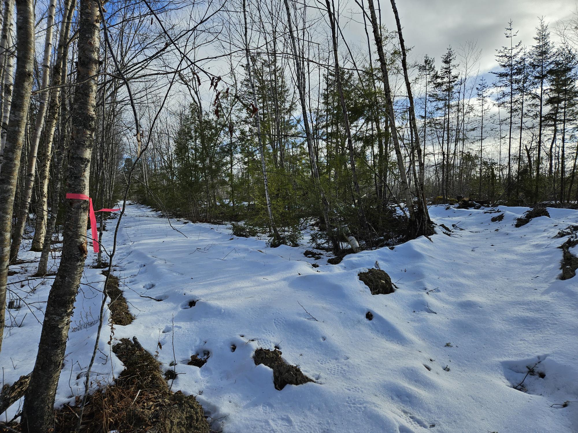 Lot7 Point Road Ellsworth, ME 04605 - Photo 27 of 29 20240214_143836