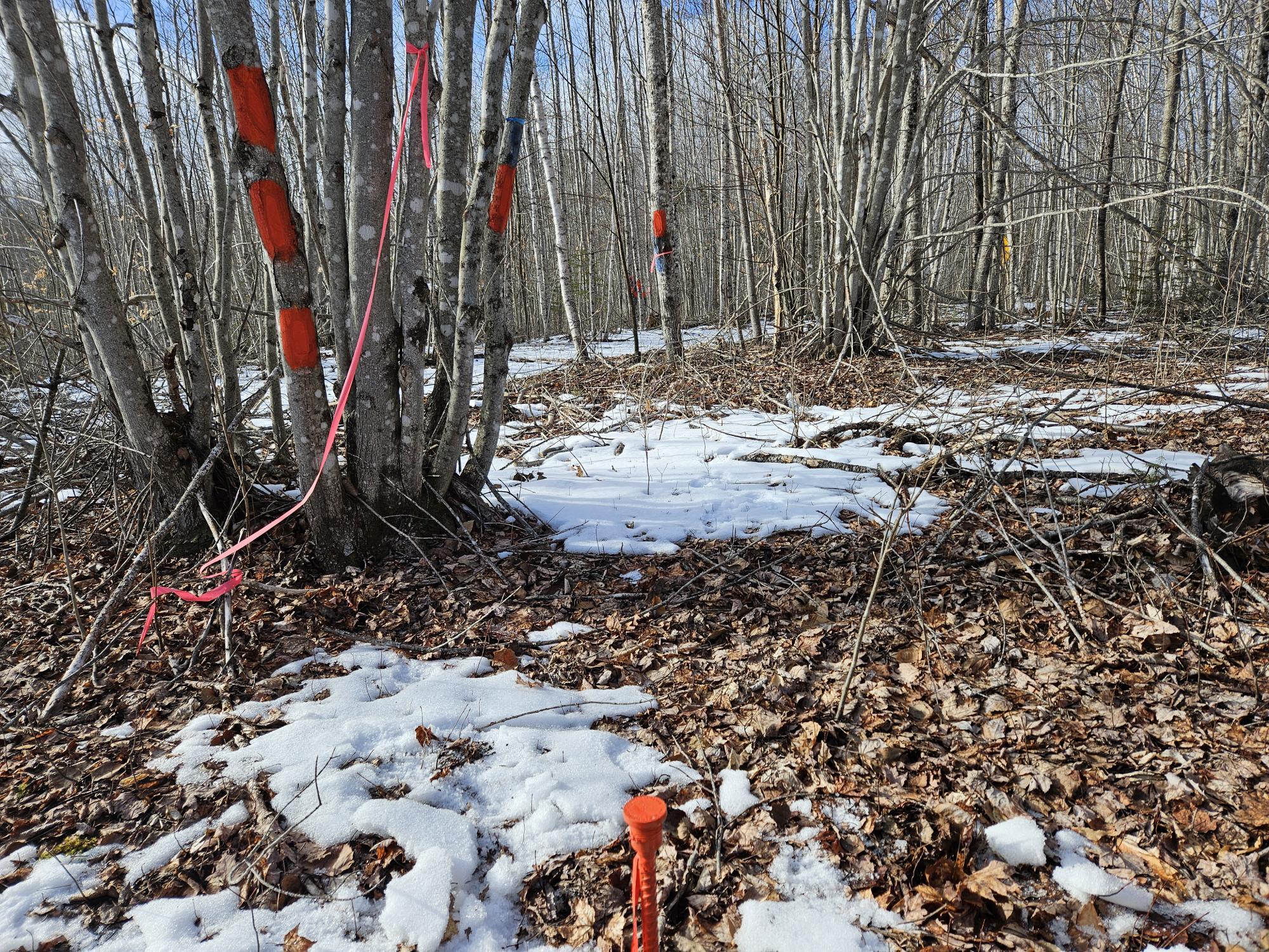 Lot7 Point Road Ellsworth, ME 04605 - Photo 28 of 29 20240214_140826