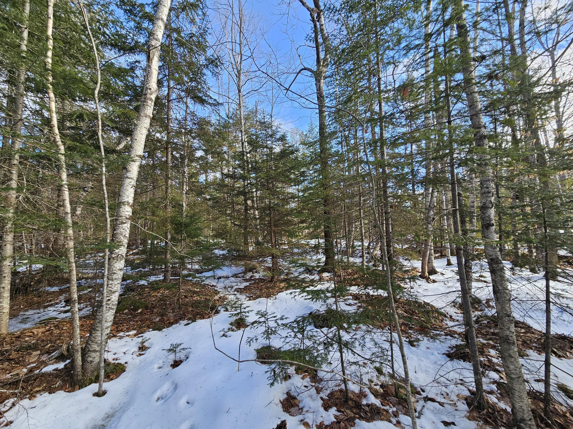 Lot7 Point Road Ellsworth, ME 04605 - Photo 3 of 29 20240214_130511