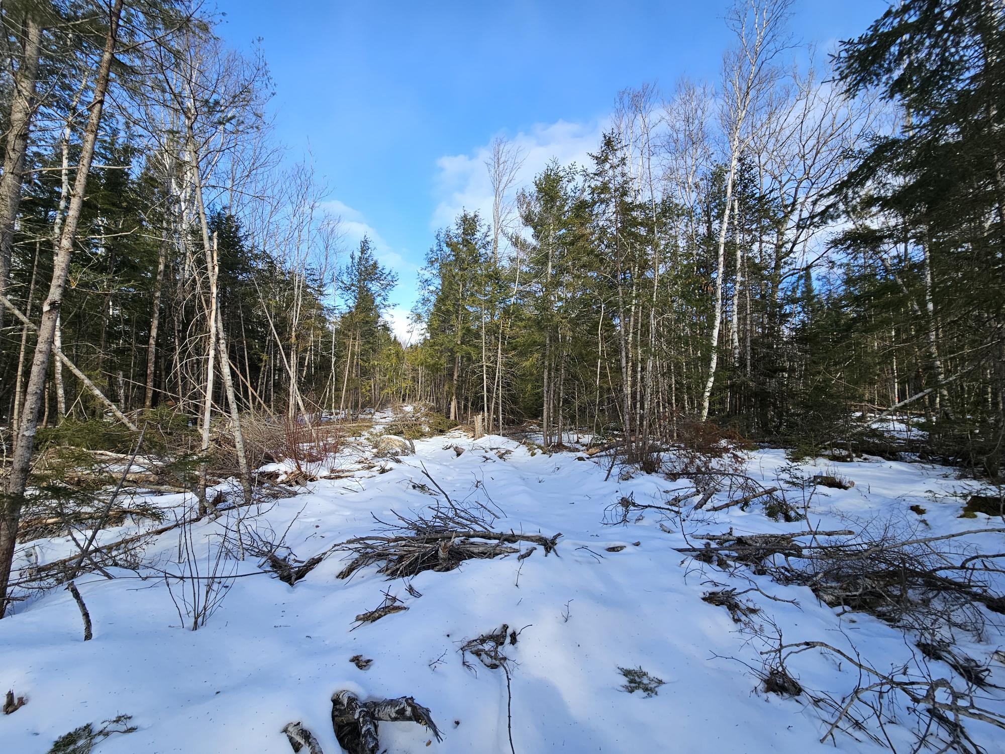 Lot7 Point Road Ellsworth, ME 04605 - Photo 5 of 29 20240214_130710