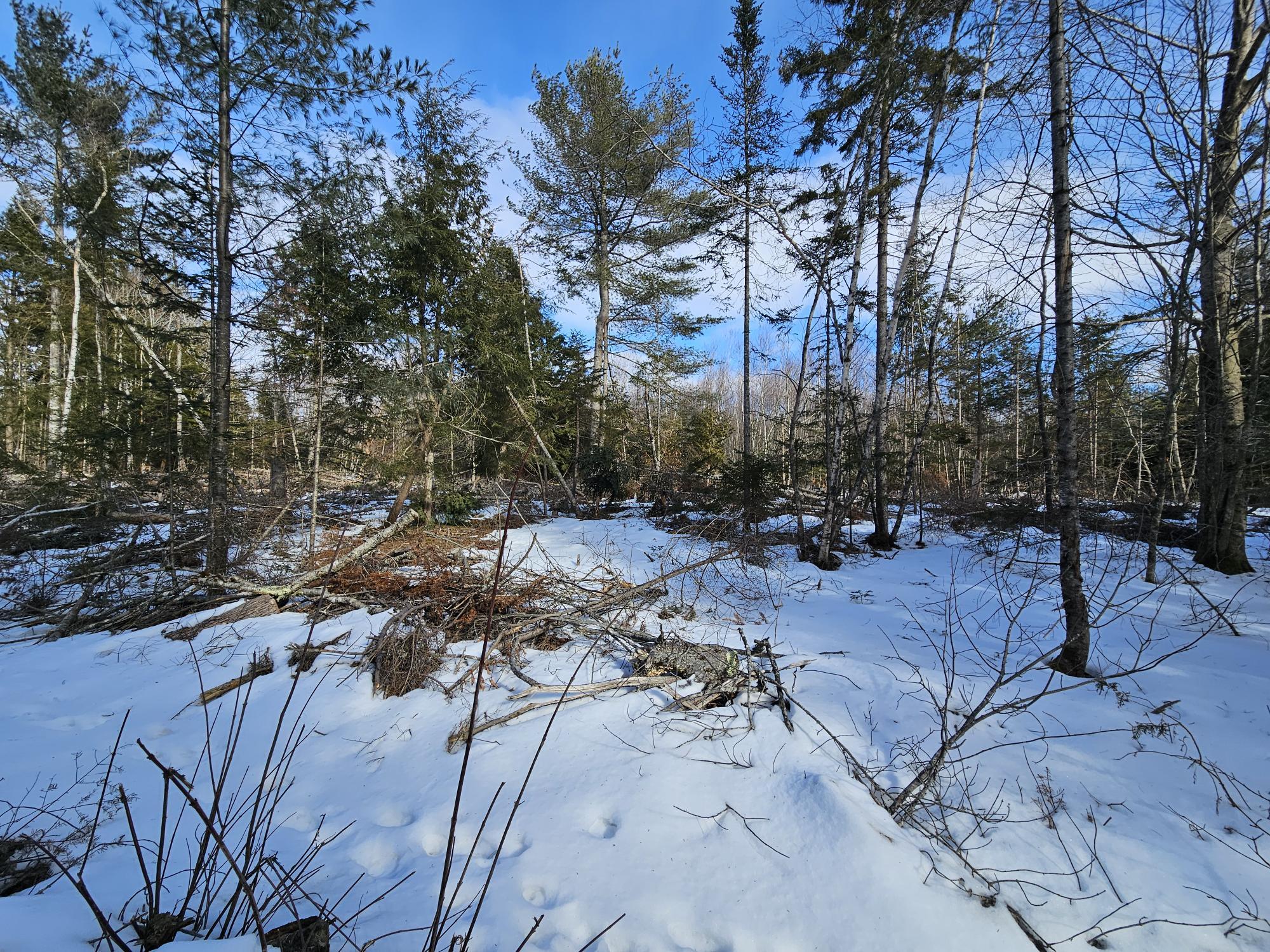 Lot7 Point Road Ellsworth, ME 04605 - Photo 6 of 29 20240214_131132