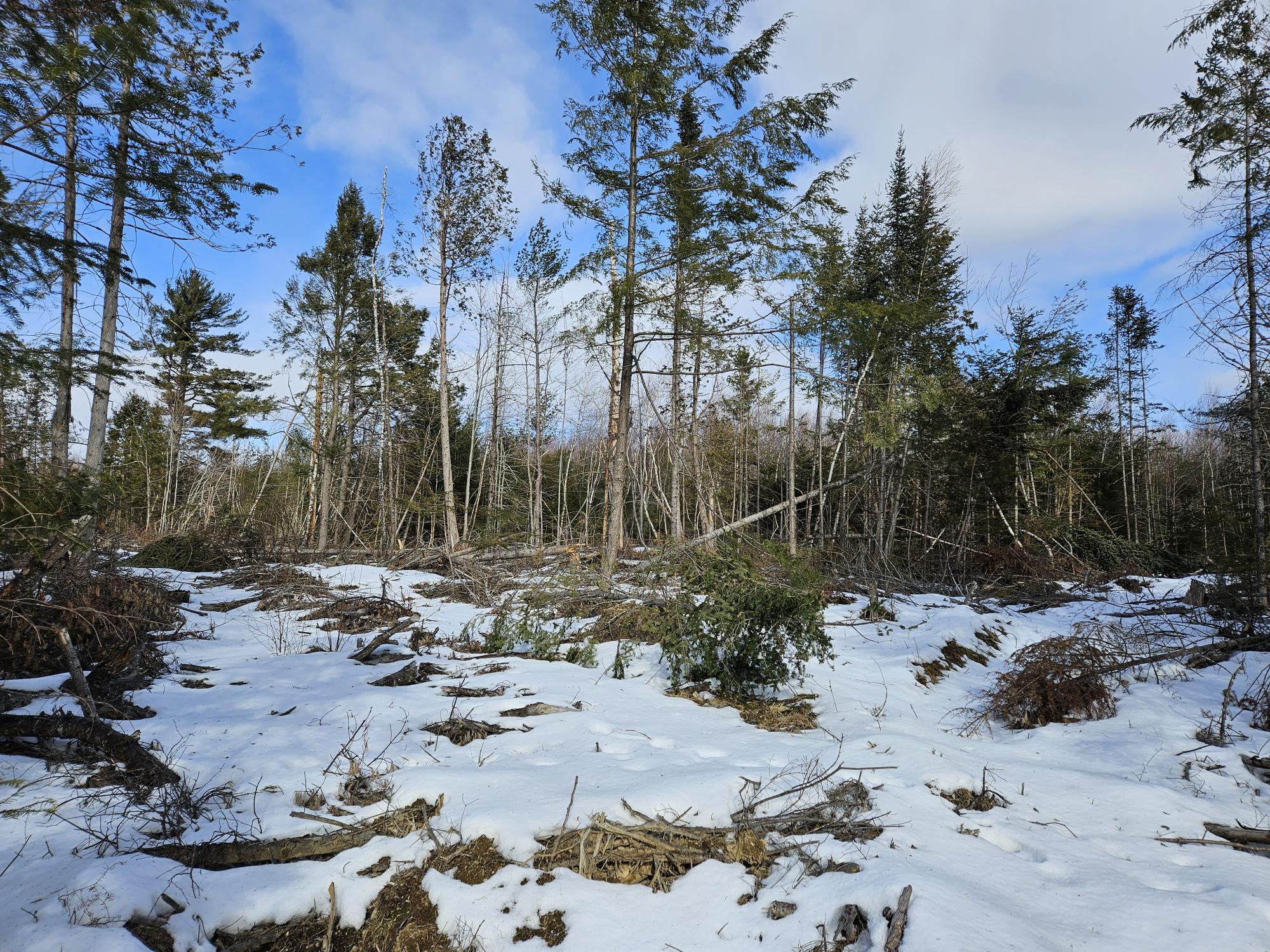 Lot7 Point Road Ellsworth, ME 04605 - Photo 7 of 29 20240214_131818