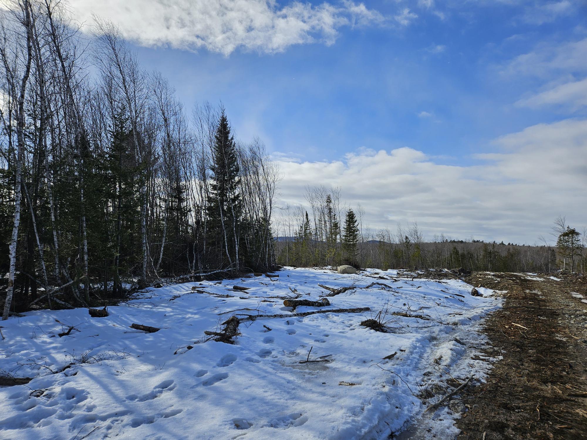 Lot7 Point Road Ellsworth, ME 04605 - Photo 8 of 29 20240214_134027