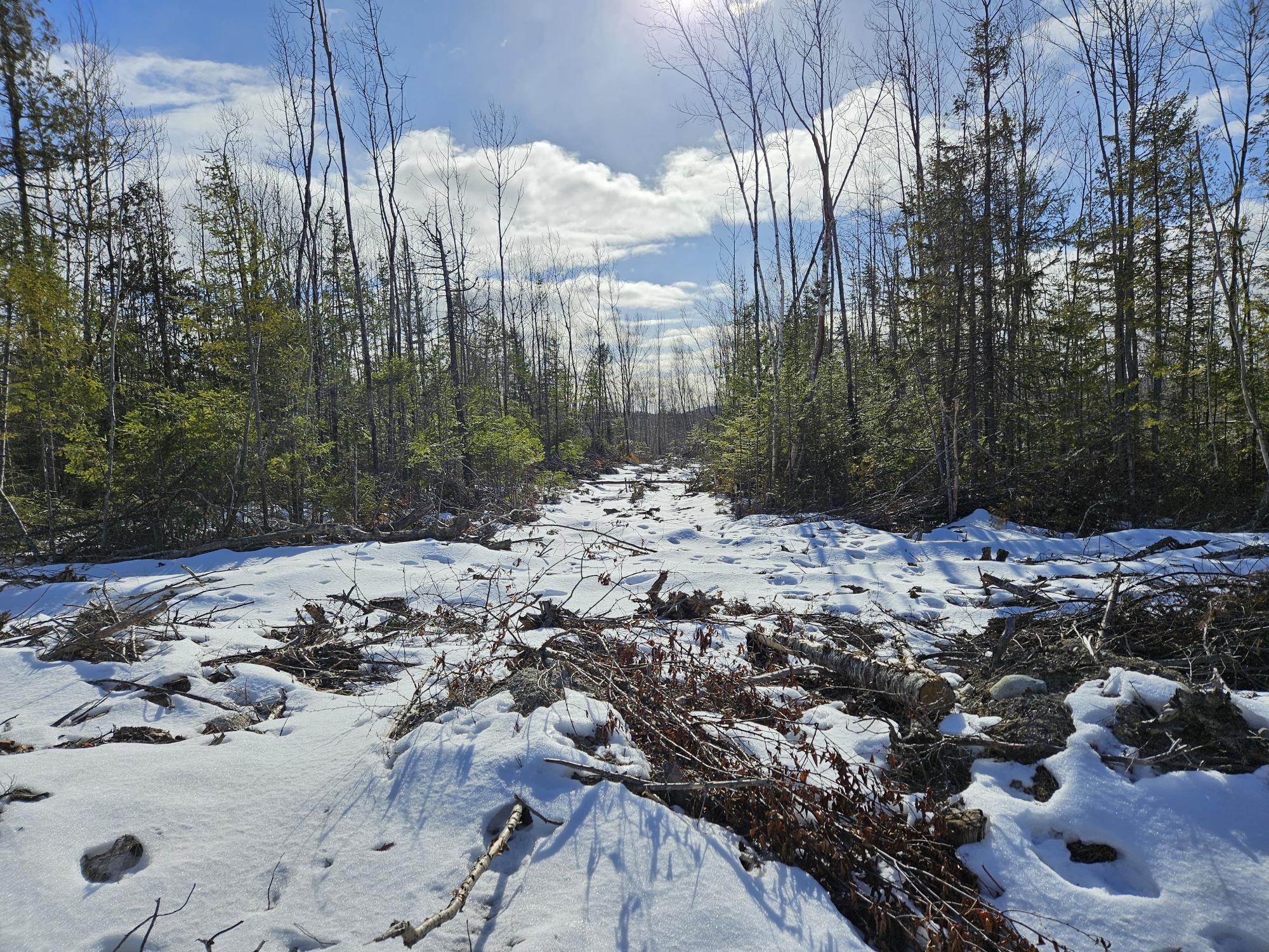 Lot7 Point Road Ellsworth, ME 04605 - Photo 9 of 29 20240214_134328