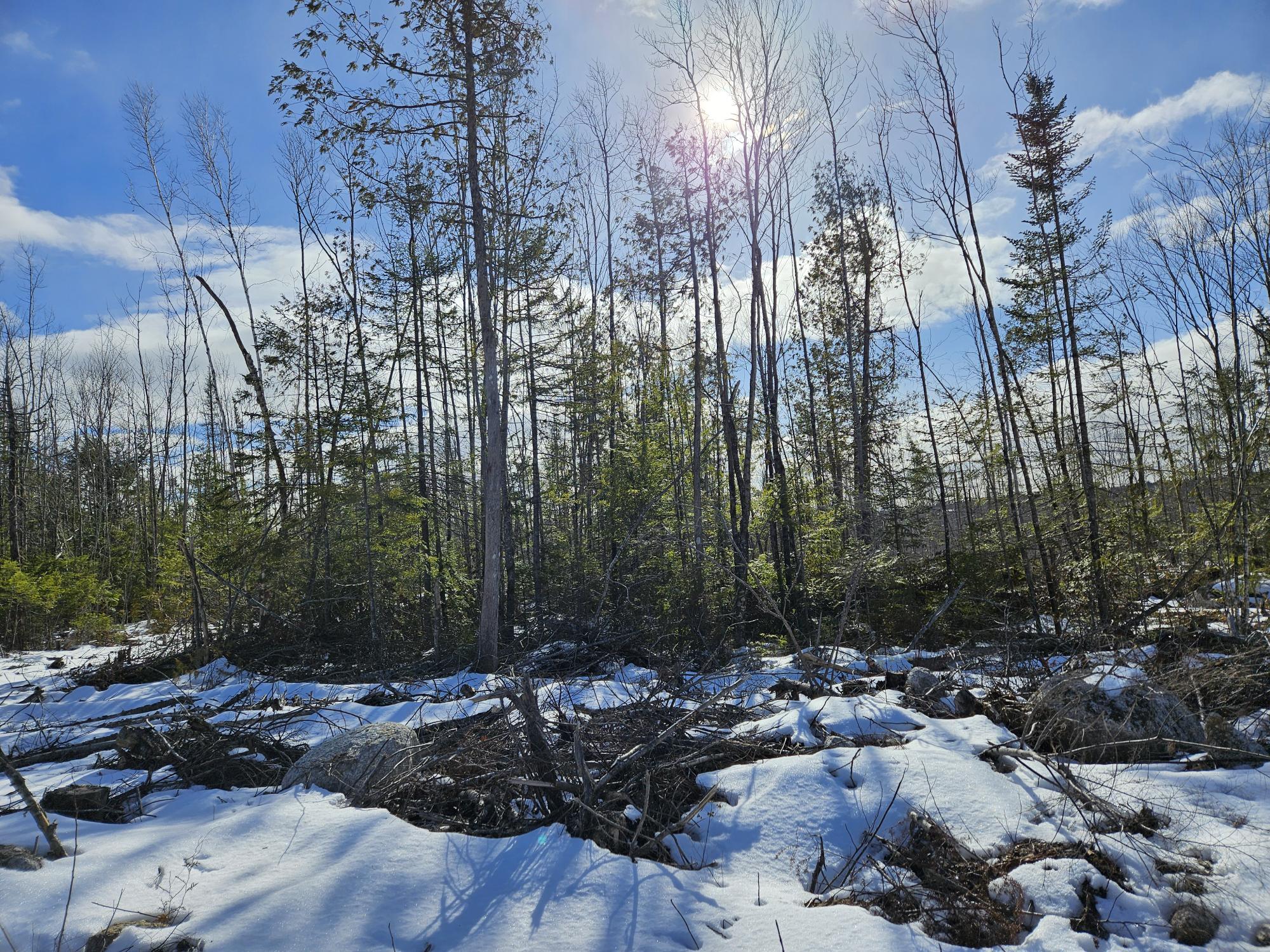 Lot7 Point Road Ellsworth, ME 04605 - Photo 10 of 29 20240214_134340