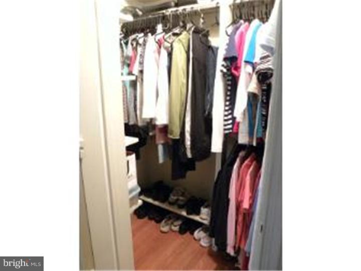268 Rambling Way Springfield, PA 19064 - Photo 12 of 18 Walk-in Closet