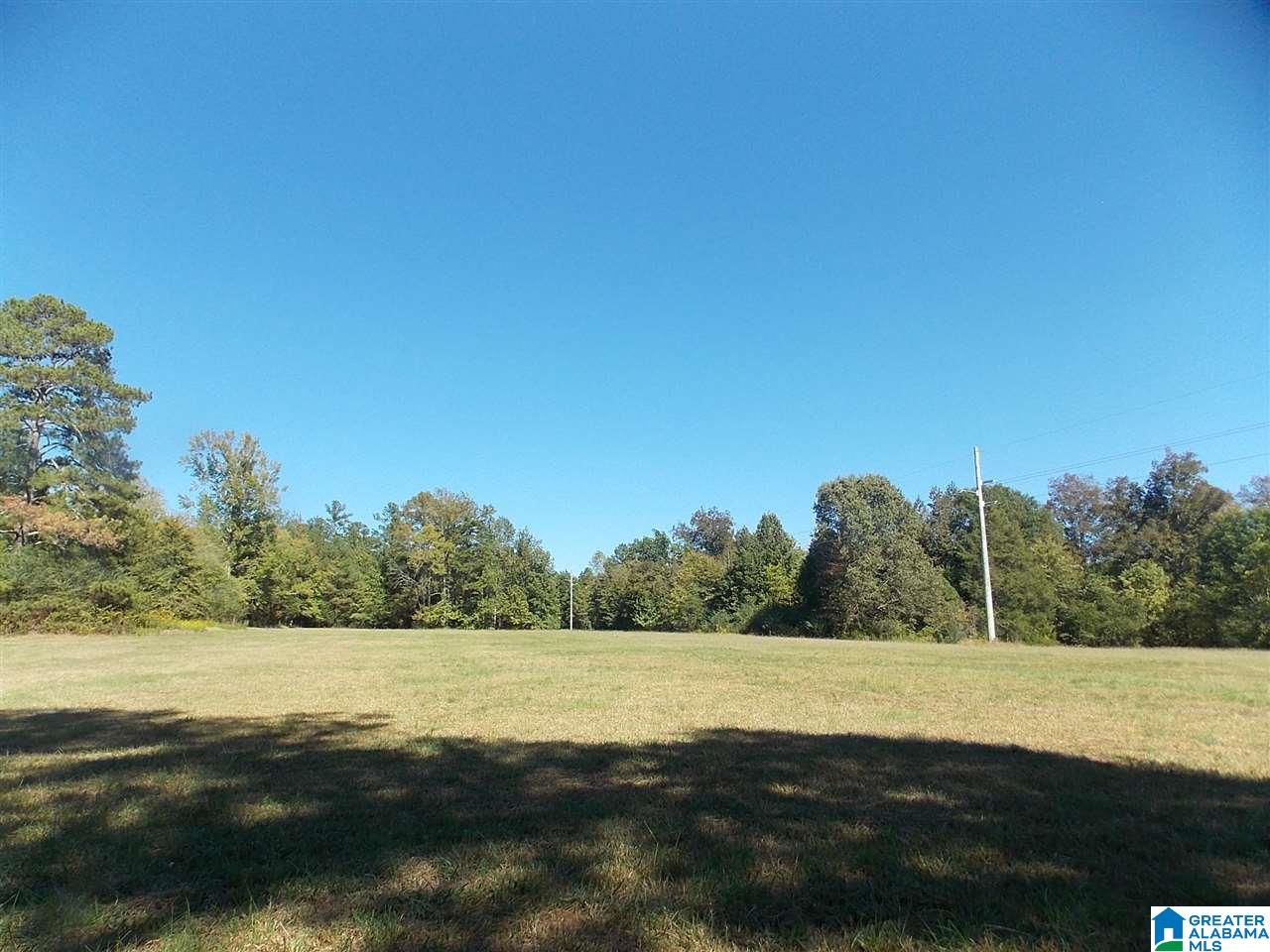 680 Brooks Lane Oneonta, AL 35121 - Photo 8 of 27