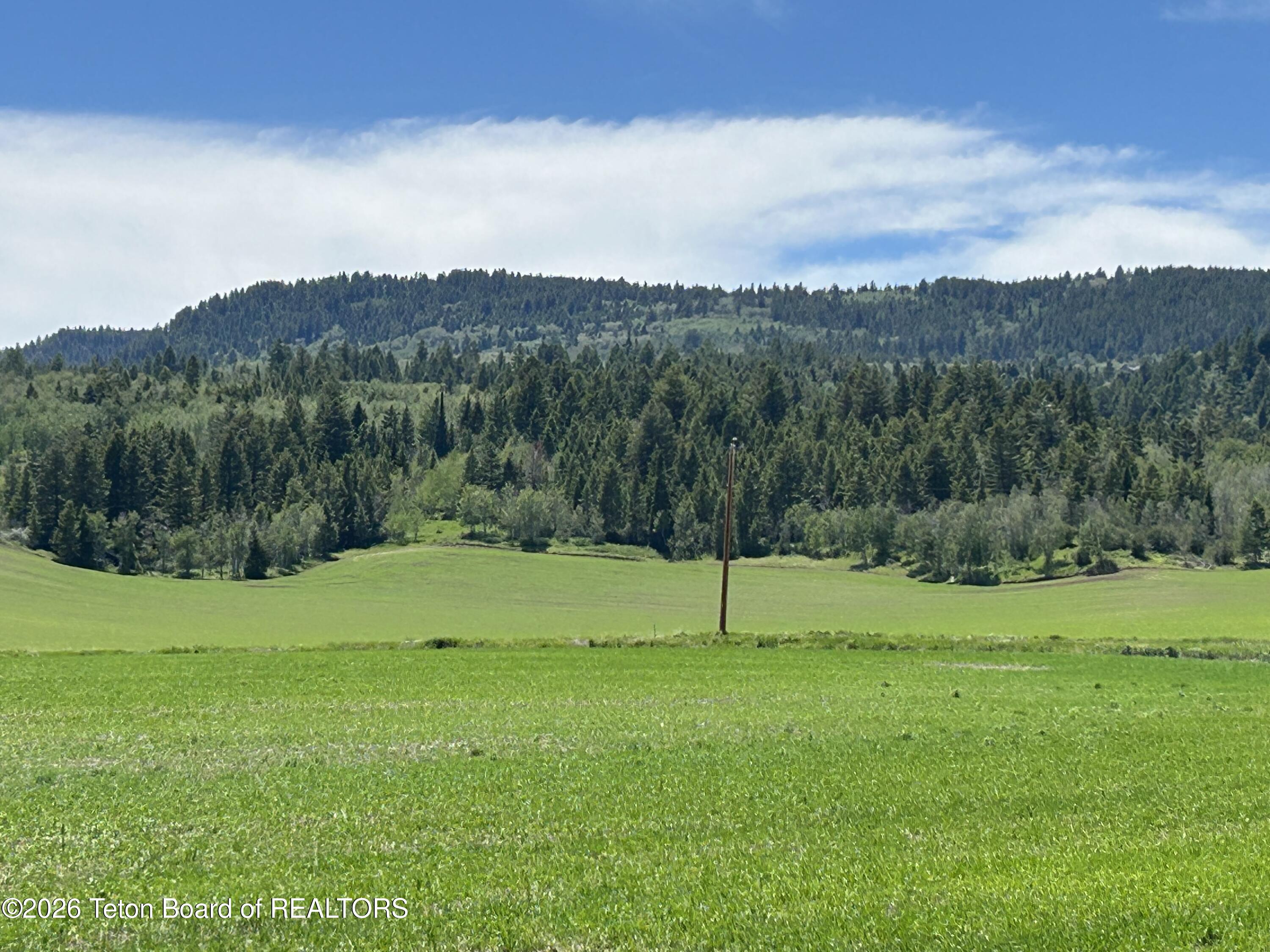 8859 Fawn Ridge Lane Tetonia, ID 83452 - Photo 3 of 5 IMG_3981