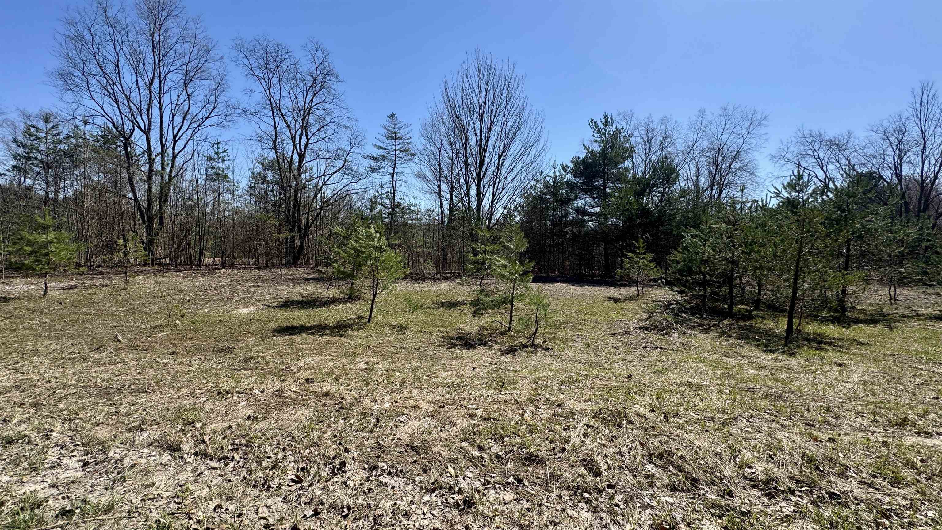 0 North 1st Road, Unit PARCEL C Buckley, MI 49620 - Photo 4 of 7