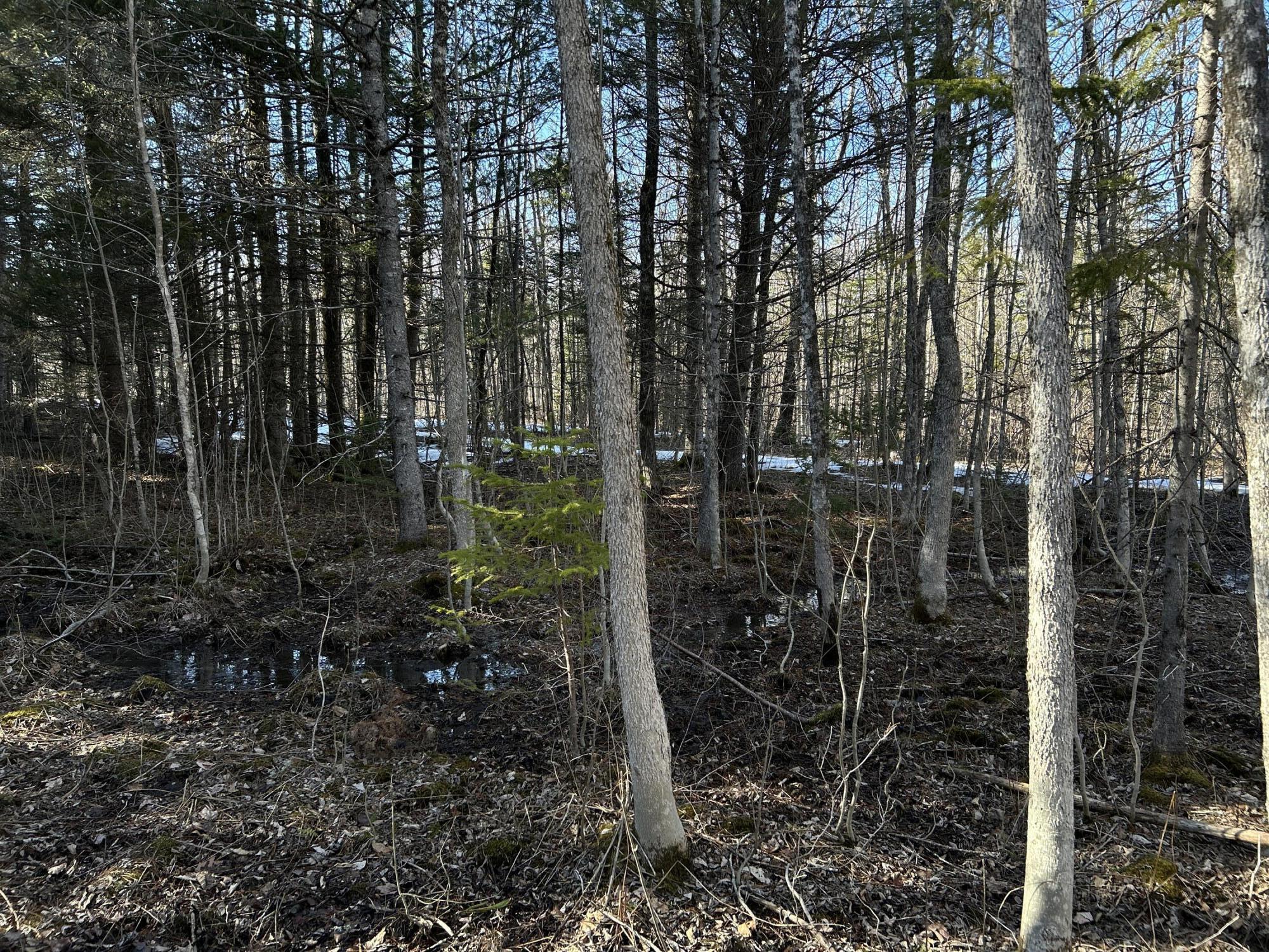 Map5-lot1 Silvers Mills Road Sangerville, ME 04479 - Photo 13 of 33