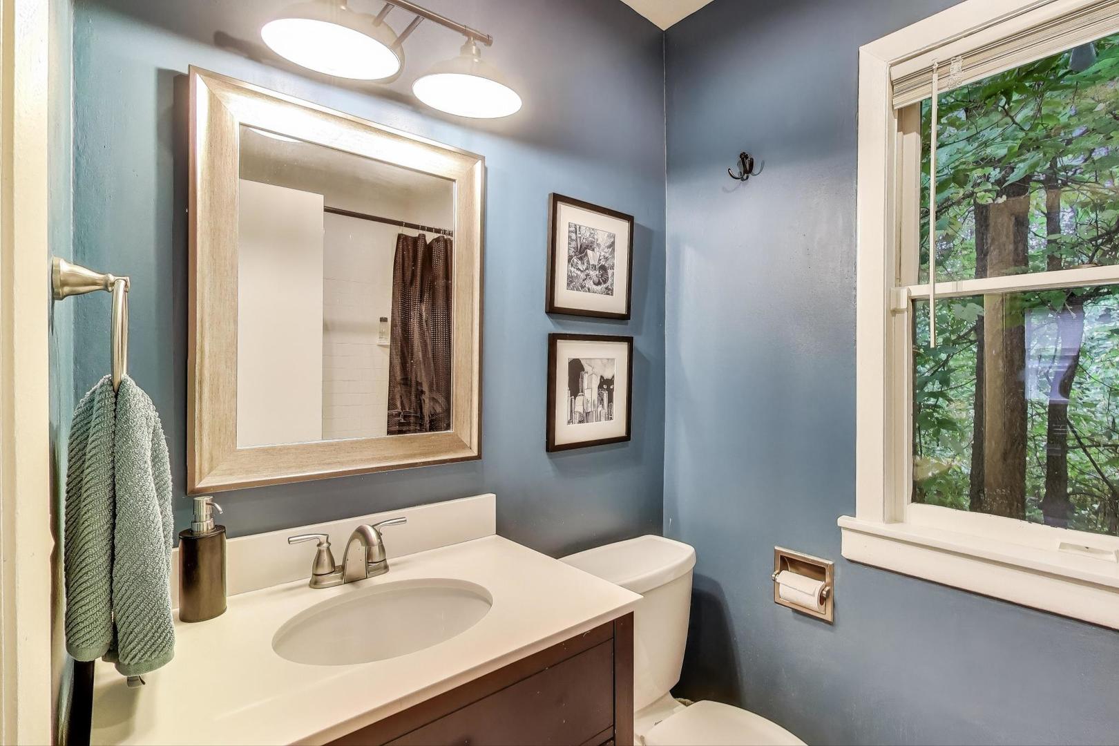 235 Richmond Street Evanston, IL 60202 - Photo 19 of 38 a bathroom with a sink vanity mirror and toilet