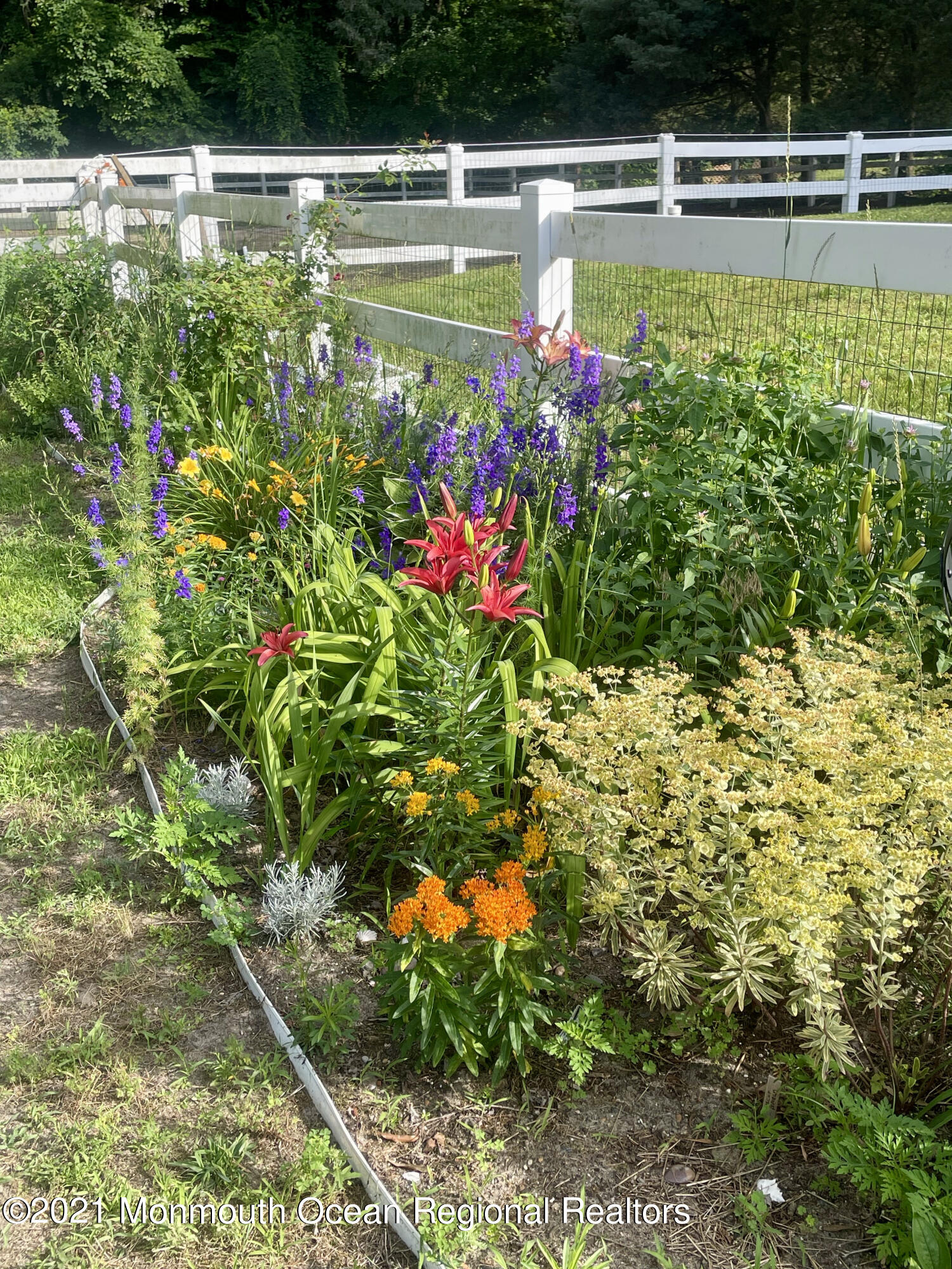 866 Monmouth Road Cream Ridge, NJ 08514 - Photo 37 of 39 a view of swimming pool with a lot of flower plants