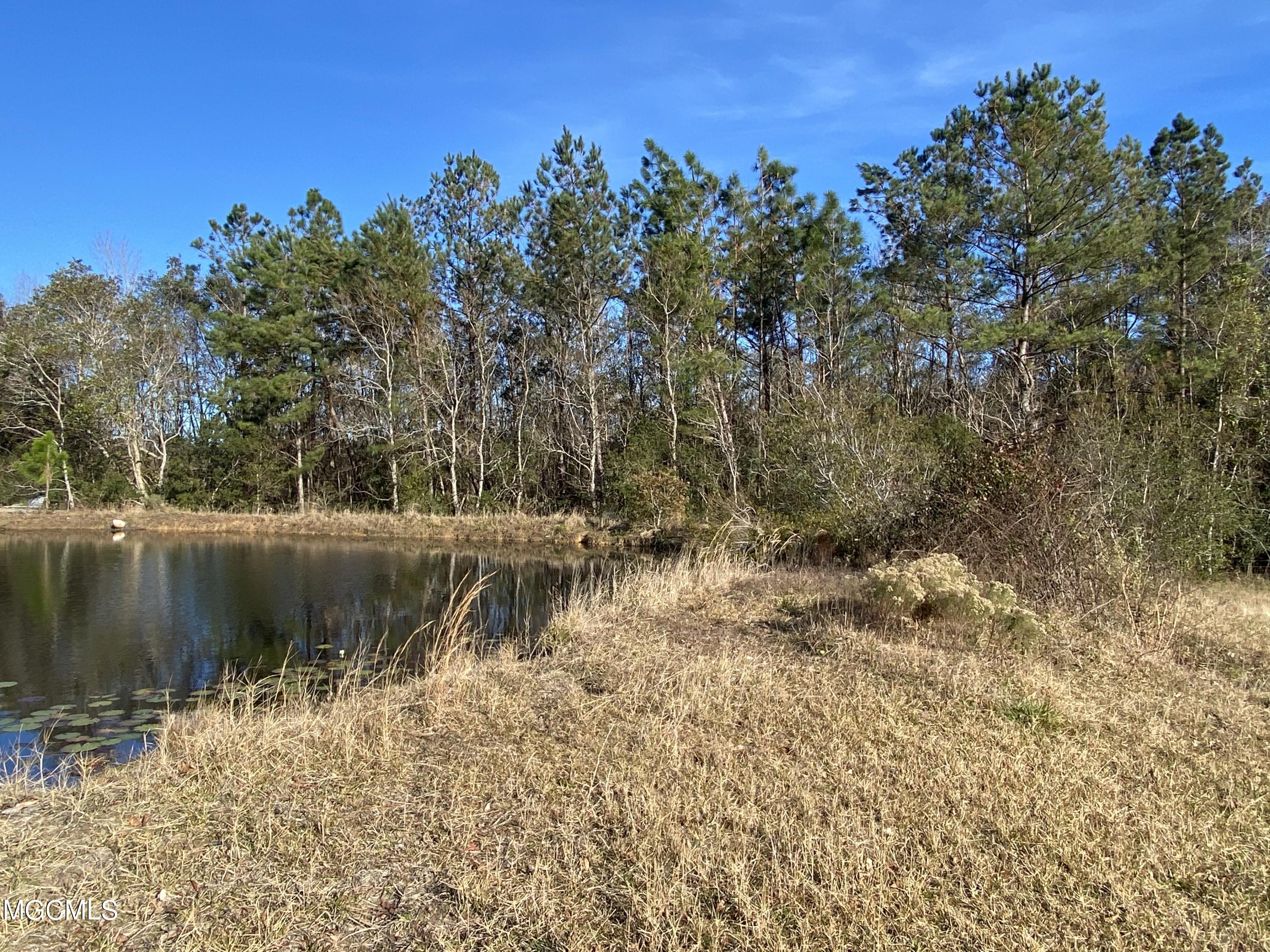 22377 Mennonite Road Gulfport, MS 39503 - Photo 8 of 27 22377 Mennonite