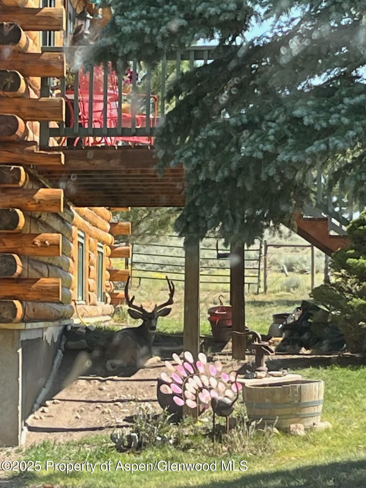 31 Ridge Drive Craig, CO 81625 - Photo 12 of 58 wildlife