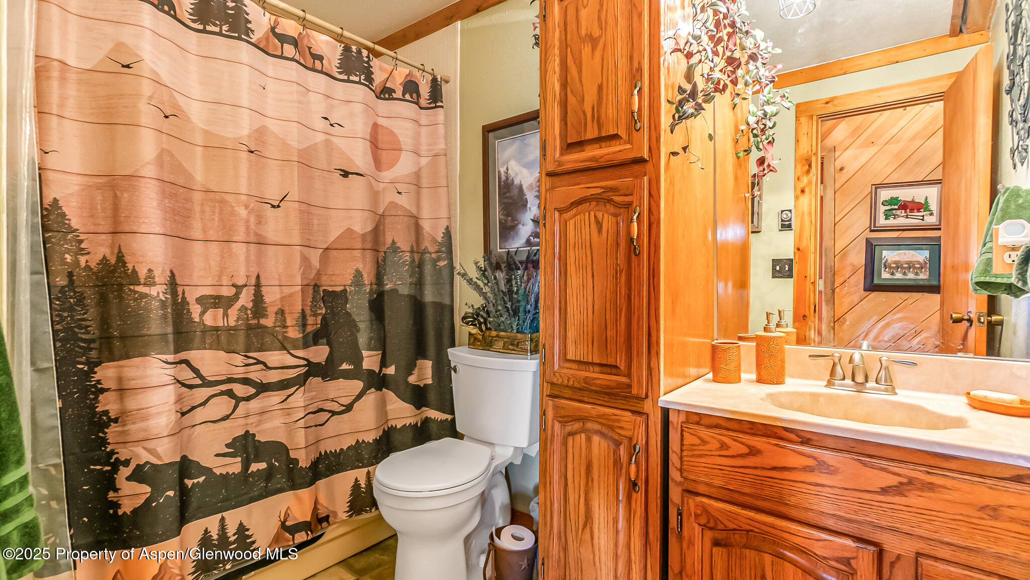 31 Ridge Drive Craig, CO 81625 - Photo 29 of 58 HOL02499