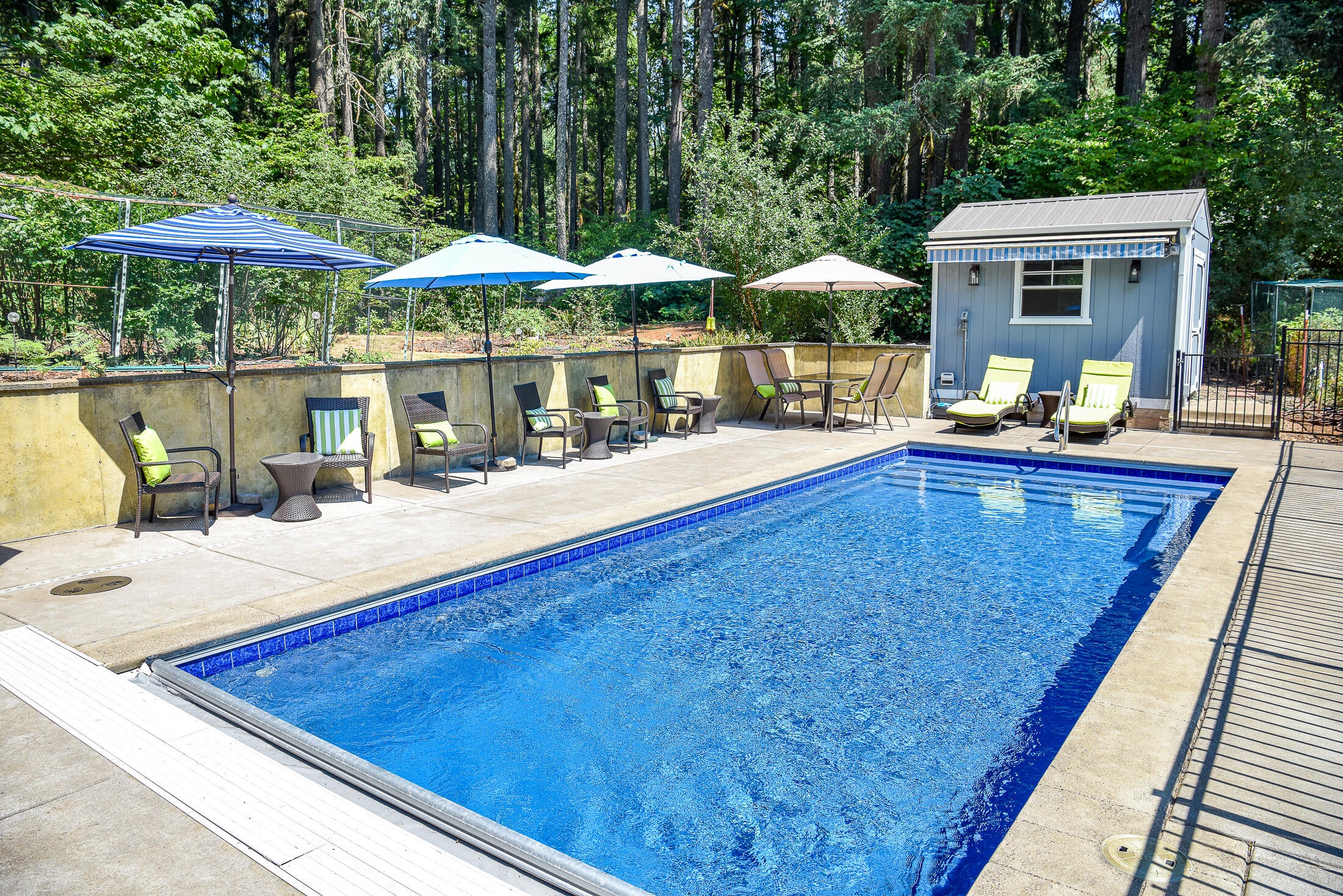 87997 Running Springs Drive Springfield, OR 97478 - Photo 38 of 48 Automatic pool cover and newer pool shed with all equipment included